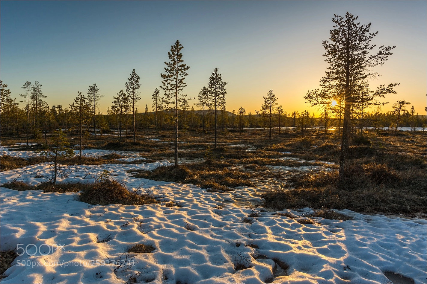 Nikon D7100 sample photo. °°° sunset °°° photography
