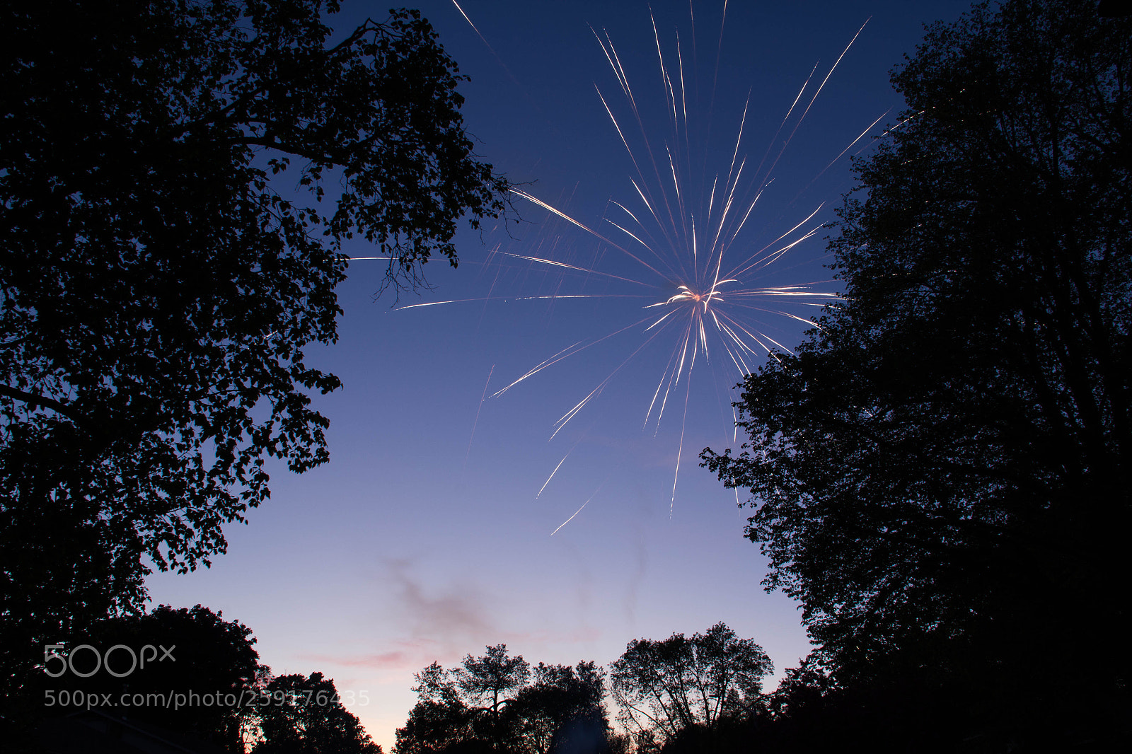 Canon EOS 60D sample photo. Fireworks 1 photography