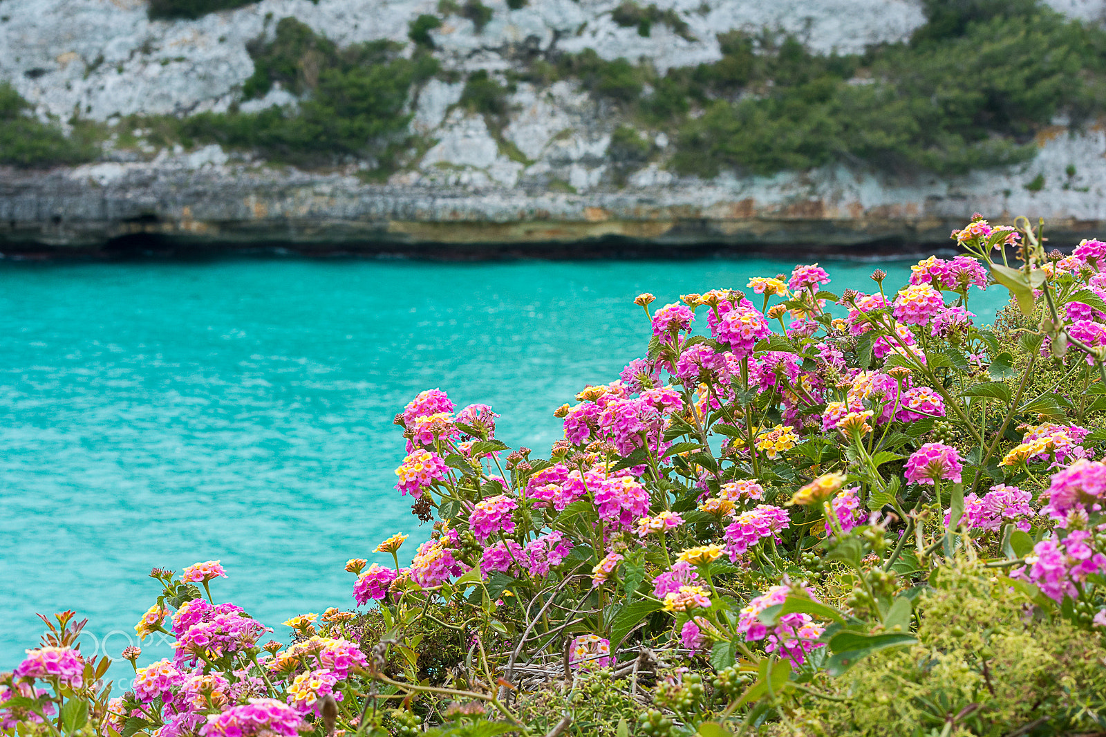 Nikon D7100 sample photo. Crique porto cristo majorque photography