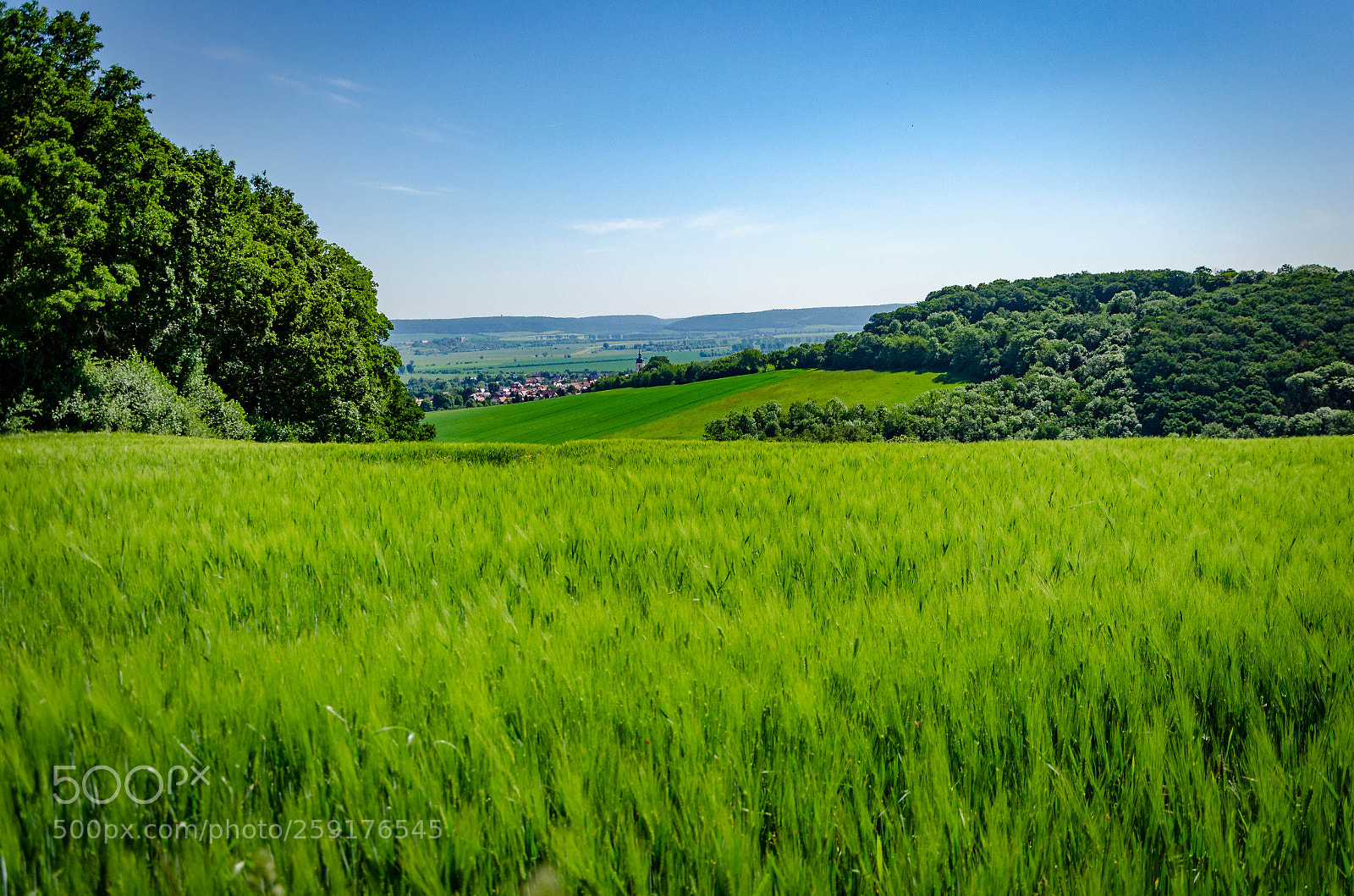Nikon D5100 sample photo. The green landscape photography