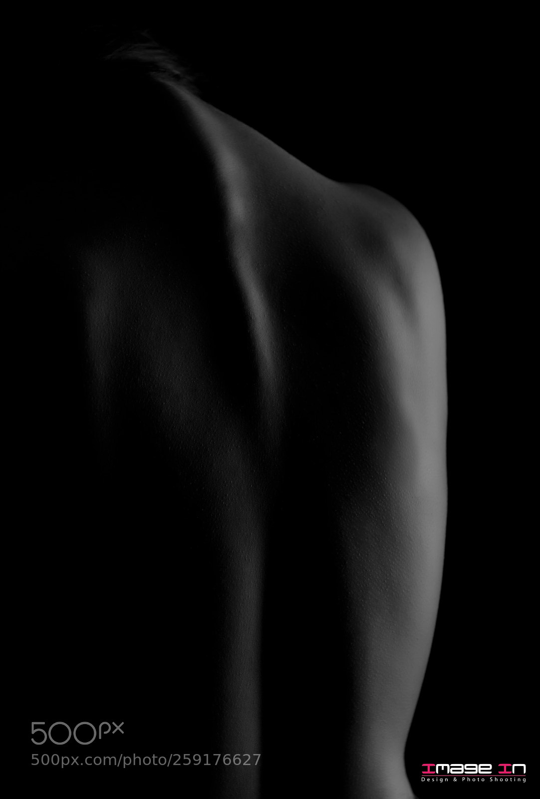Nikon D750 sample photo. Back bones photography