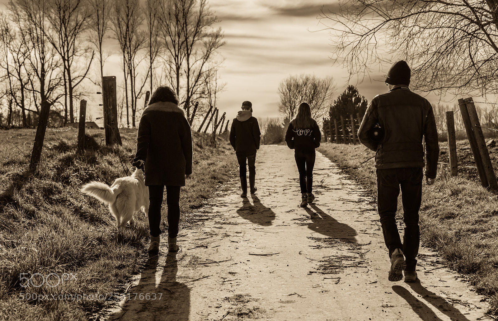 Nikon D750 sample photo. A family walk photography