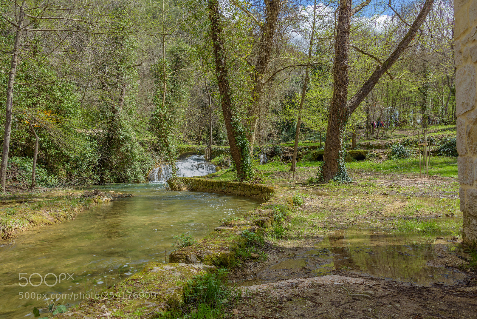 Nikon D750 sample photo. Turning into a calm photography