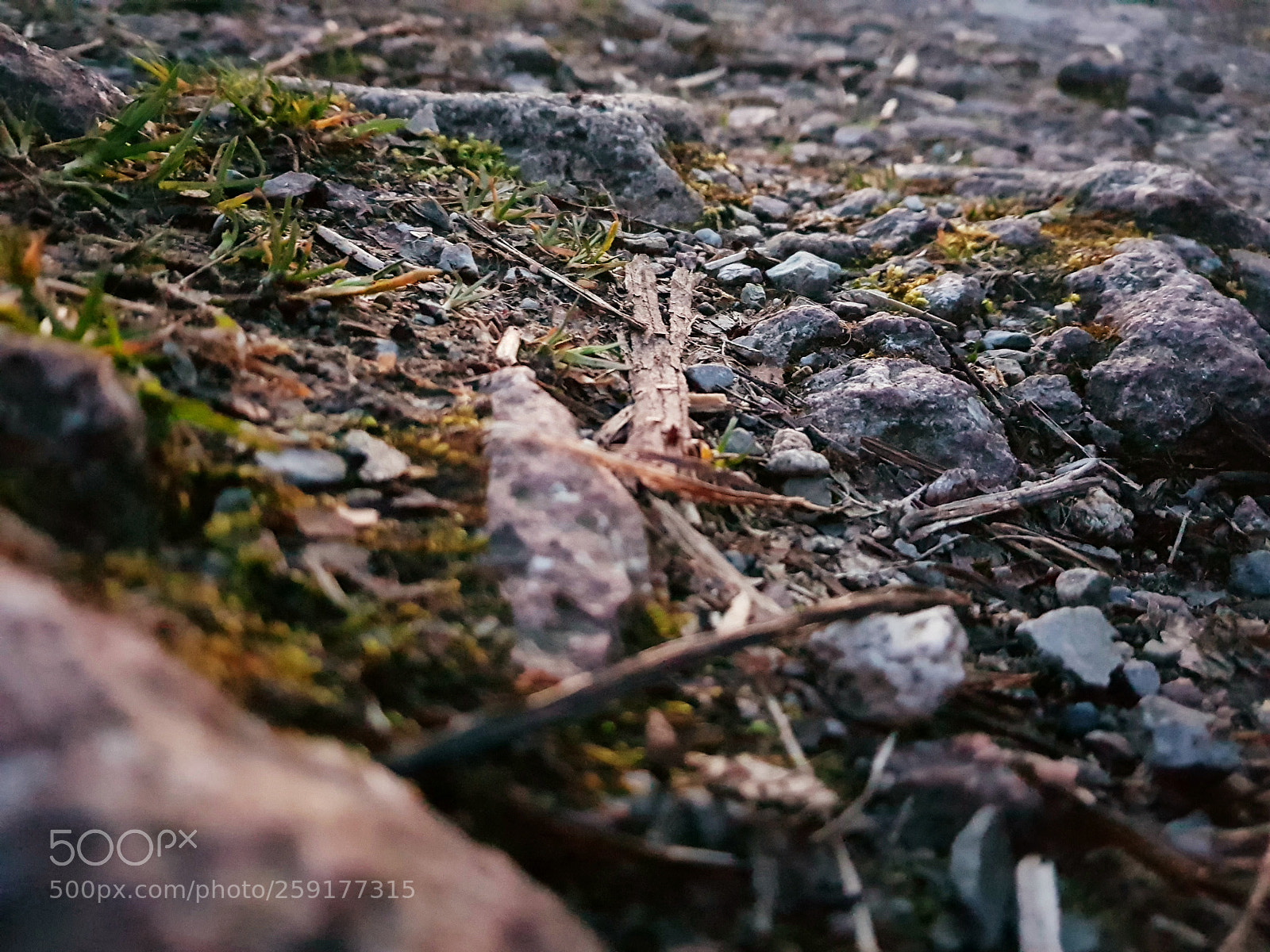 Samsung Galaxy S8+ sample photo. Untitled photography