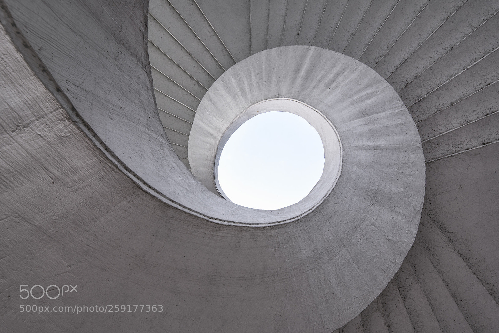 Nikon D750 sample photo. Snail of stone photography