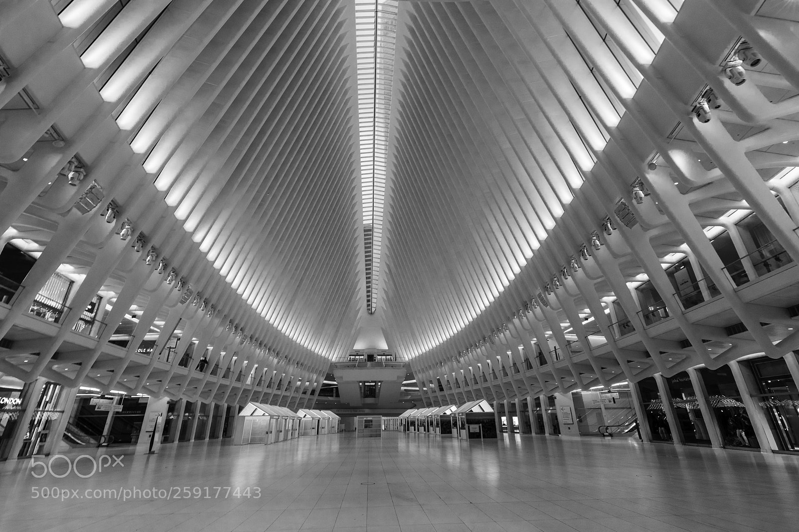 Canon EOS 5D Mark IV sample photo. The oculus photography