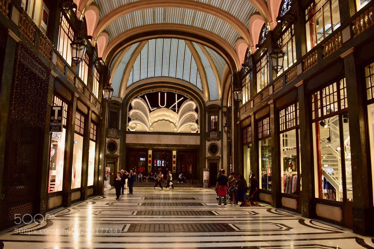 Nikon D5600 sample photo. Torino galleria san federico photography