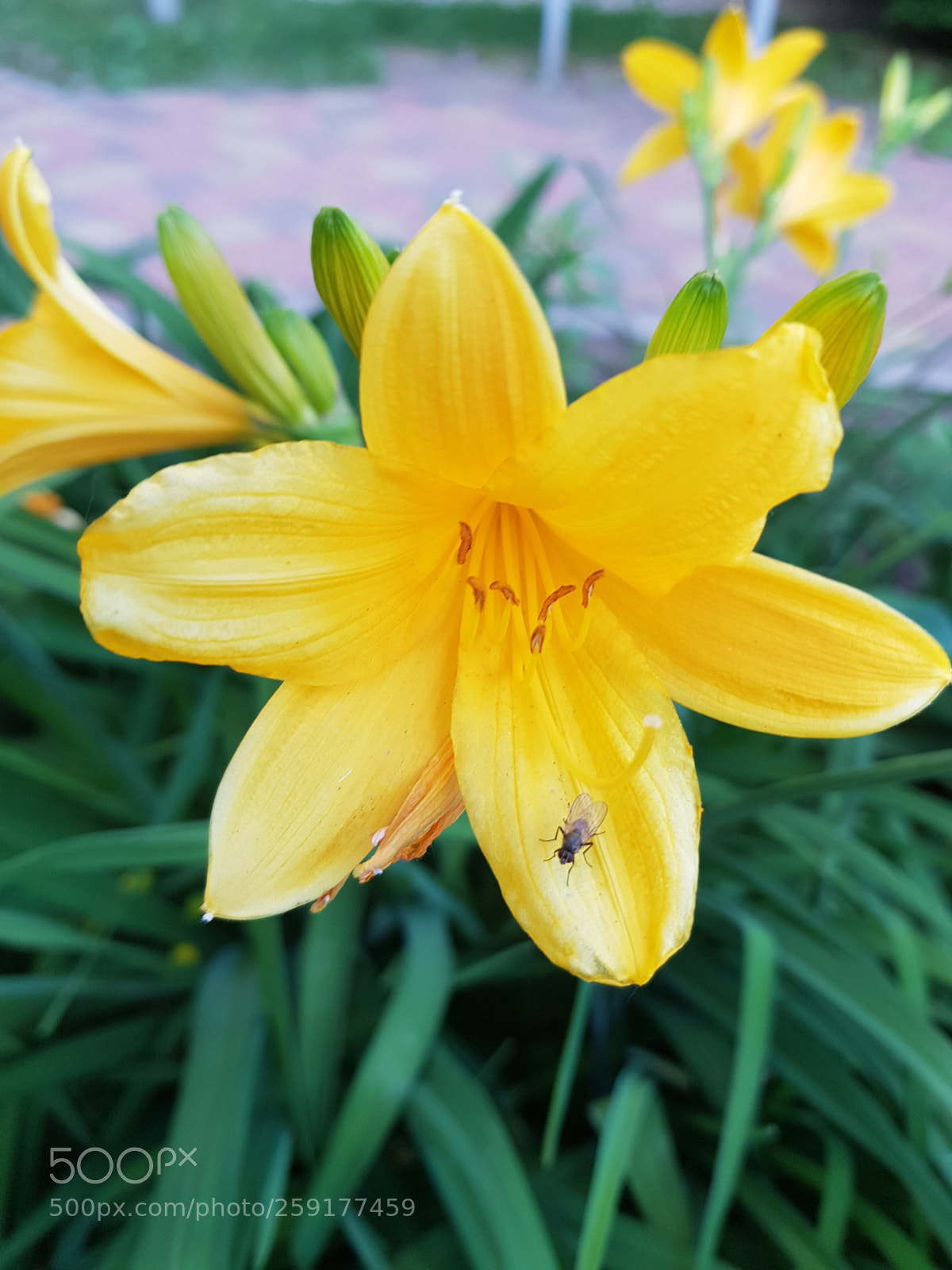 Samsung Galaxy S8+ sample photo. Untitled photography