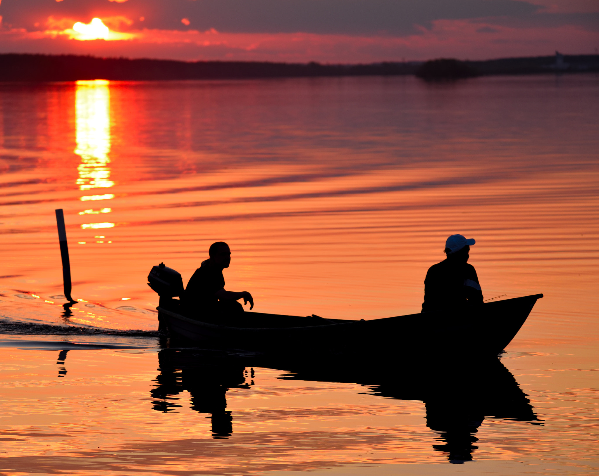 Sigma 150-600mm F5-6.3 DG OS HSM | S sample photo. Homeword bound photography