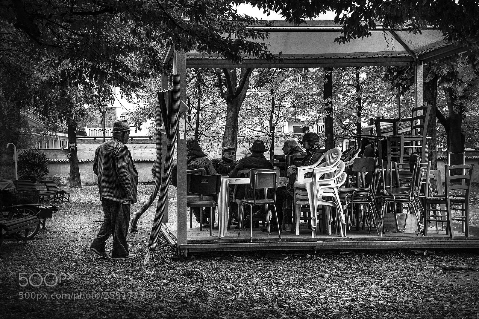 Nikon D750 sample photo. The wild bunch photography