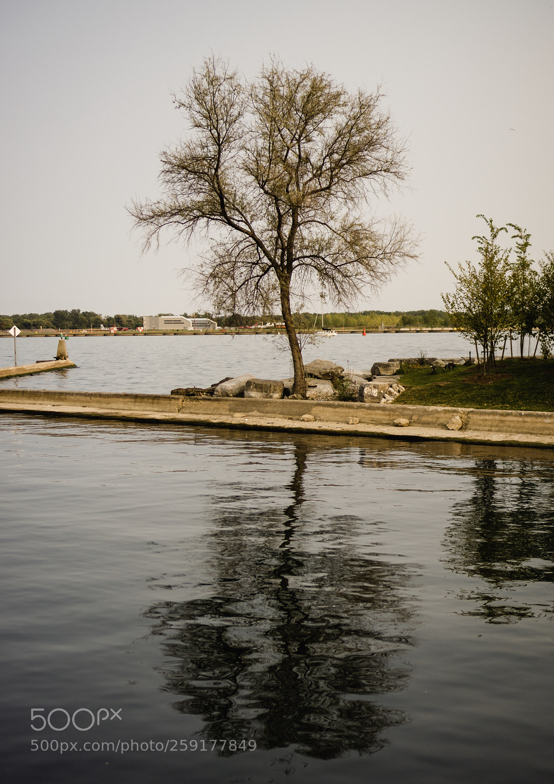 Sony a6000 sample photo. Tree and lake photography