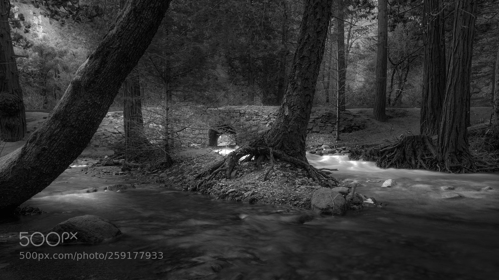 Canon EOS 6D sample photo. The river photography