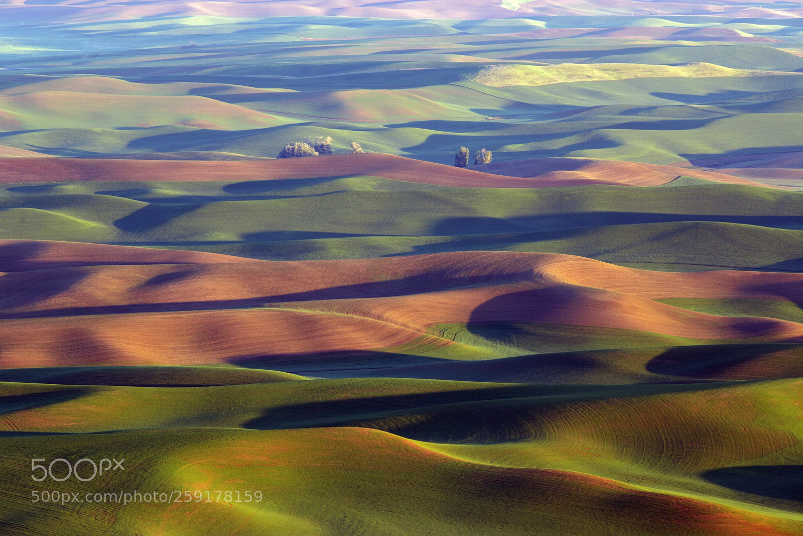 Canon EOS 6D sample photo. The ethereal palouse photography