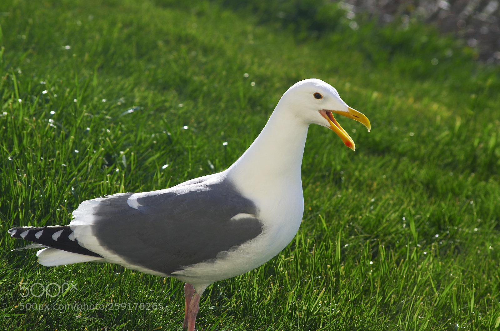 Pentax K-50 sample photo. Mine! photography