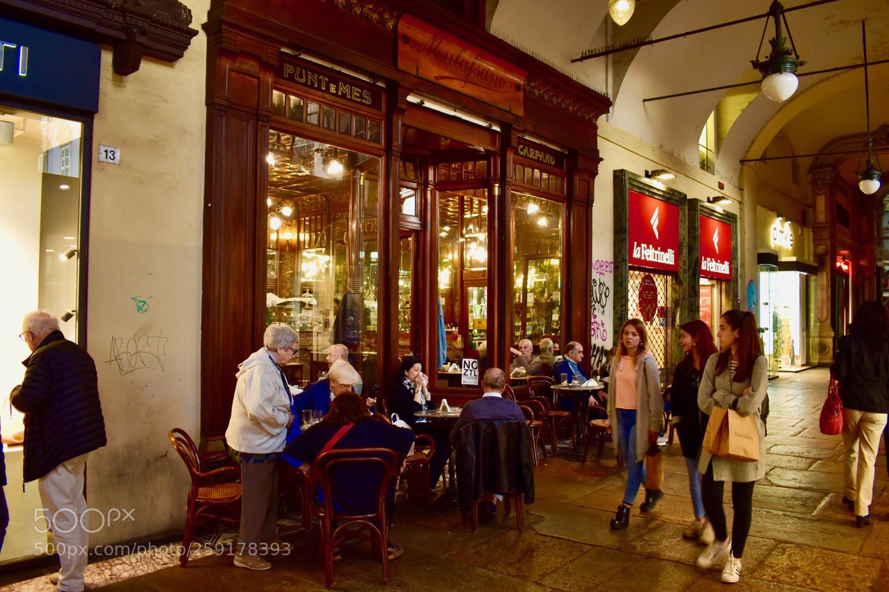 Nikon D5600 sample photo. Torino photography