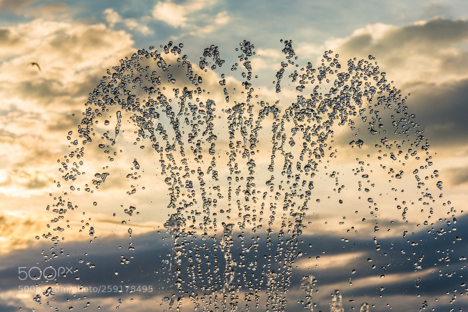 Nikon D7200 sample photo. Water drops photography