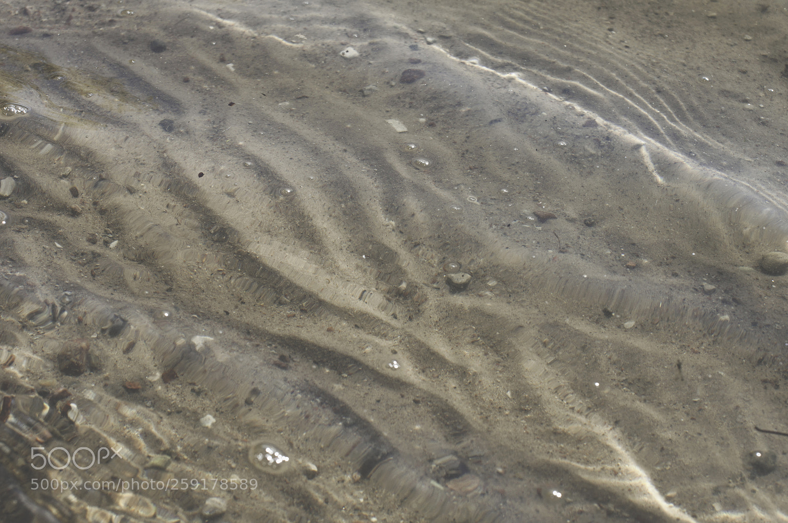 Nikon D5000 sample photo. 12 photography