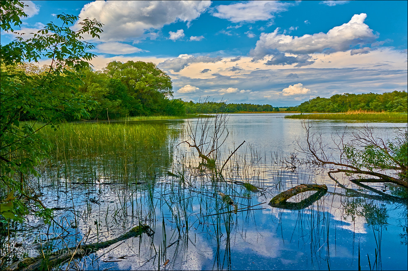 Nikon D7100 sample photo. Sharpening photography