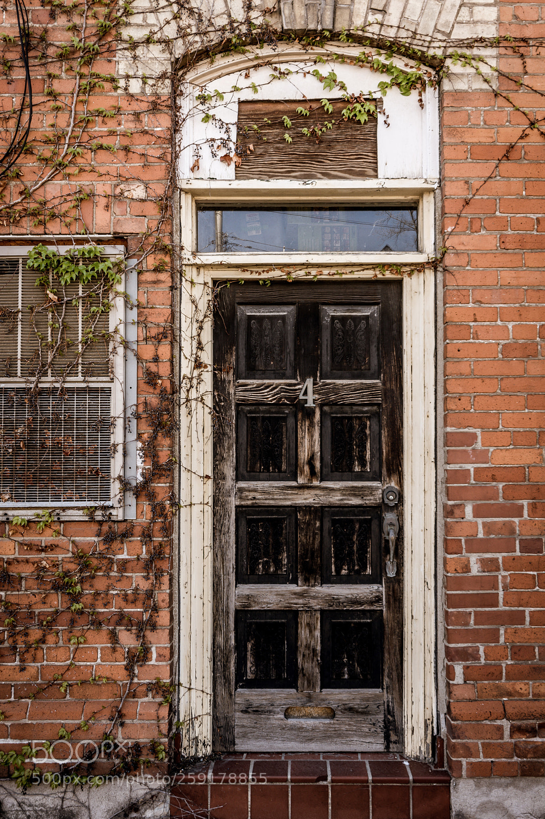 Nikon D7100 sample photo. Number 4 photography