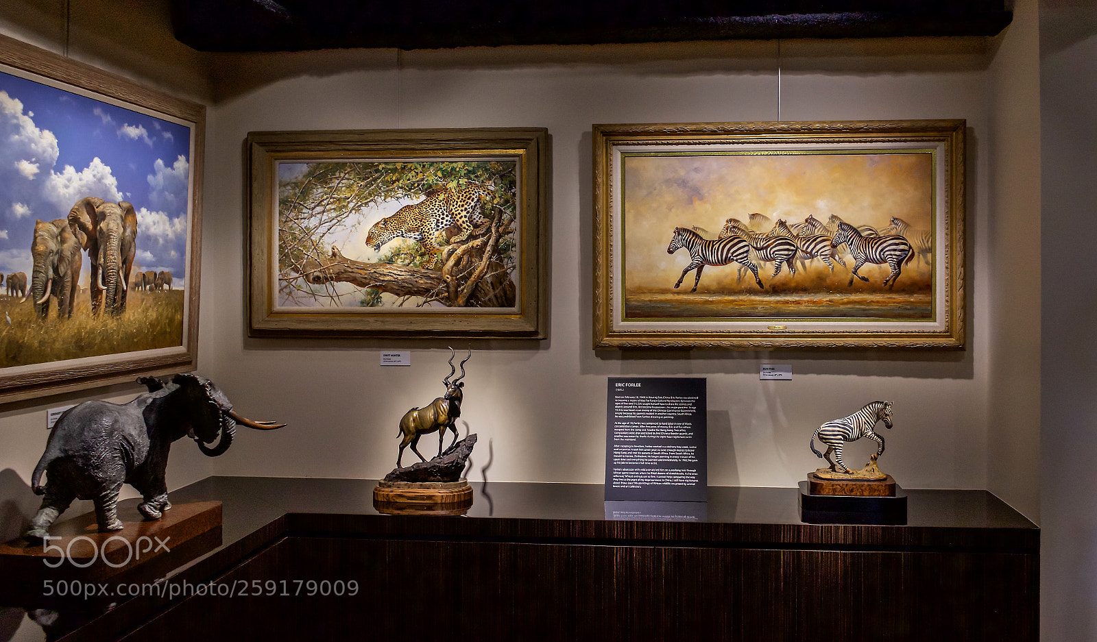Sony a7 sample photo. The art of africa photography