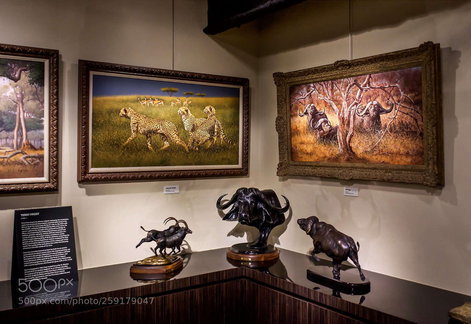 Sony a7 sample photo. The art of africa photography