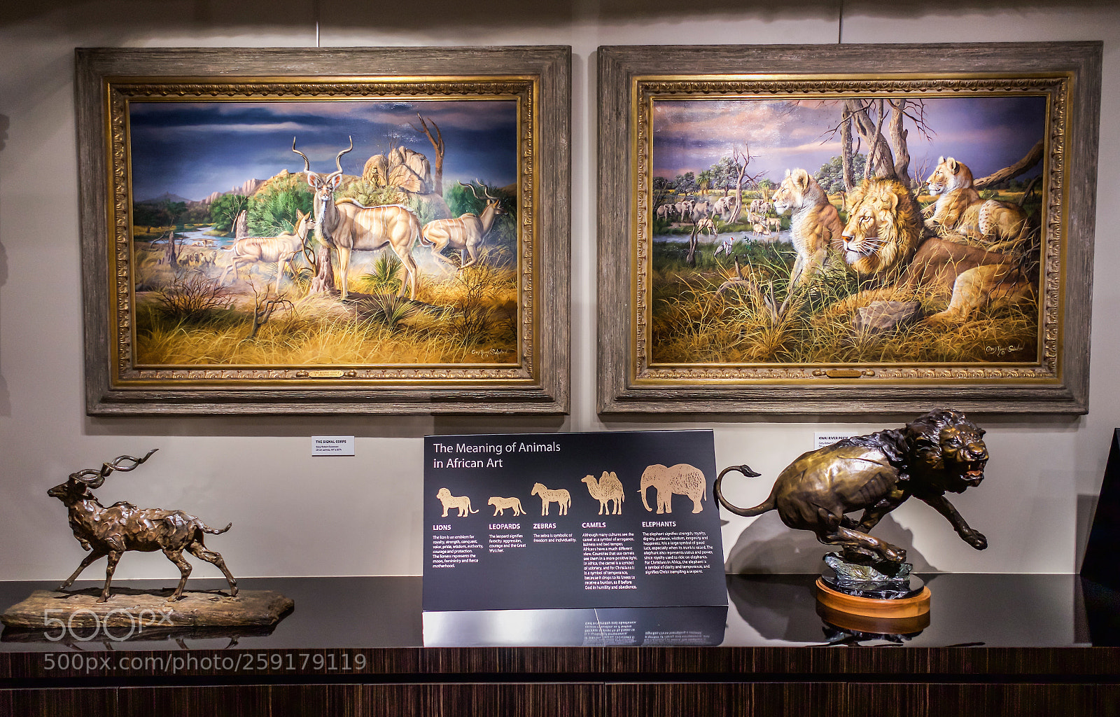 Sony a7 sample photo. The art of africa photography