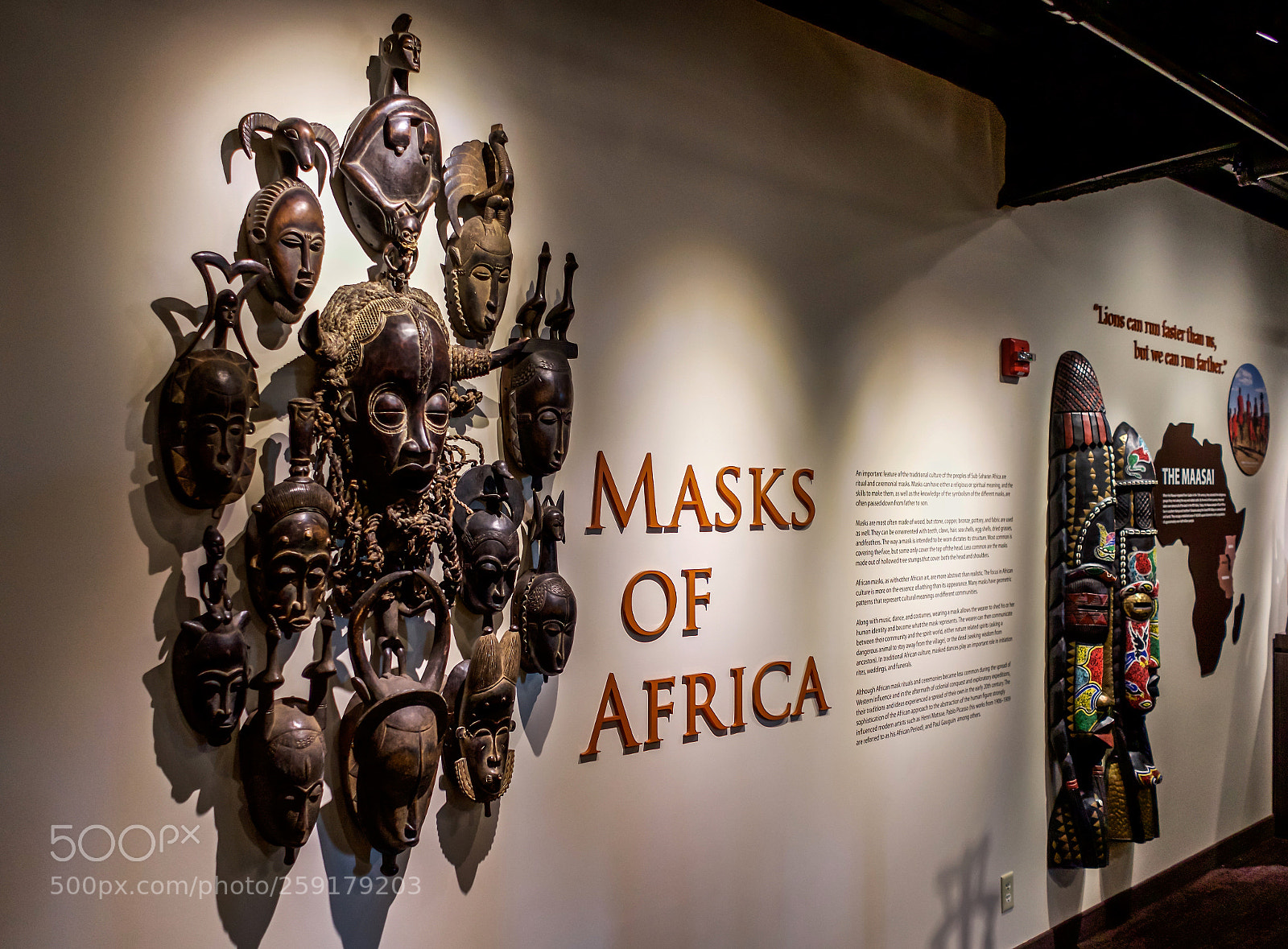 Sony a7 sample photo. The art of africa photography