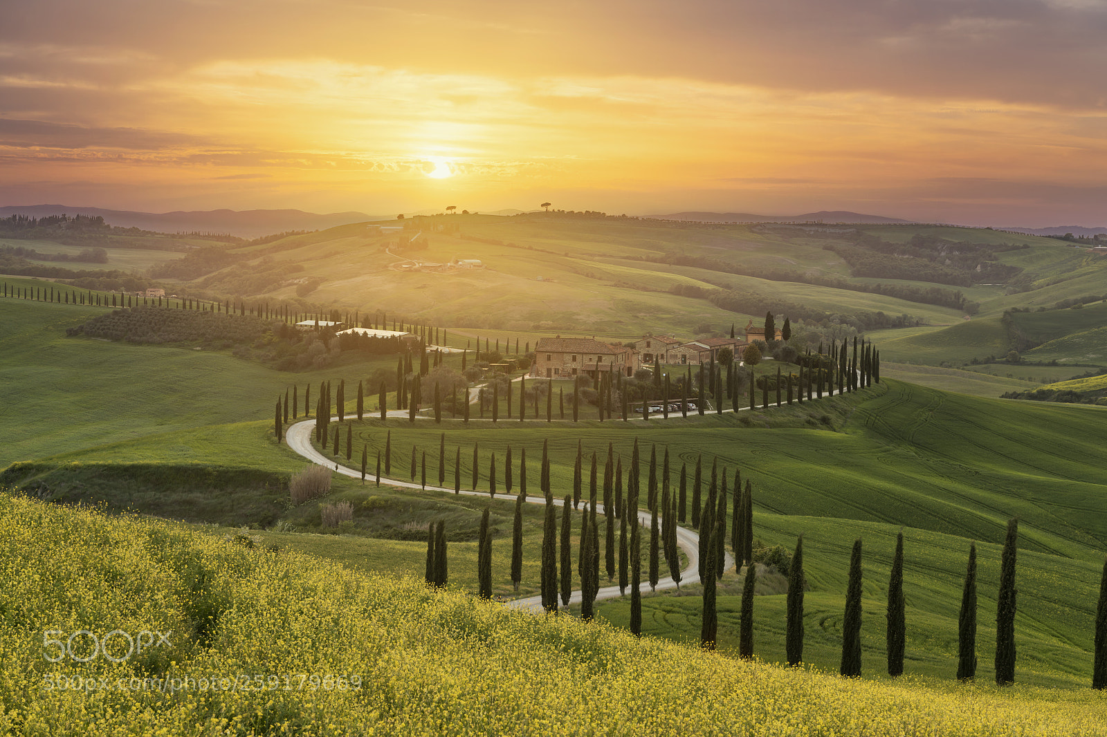 Nikon D850 sample photo. Tuscan spring photography