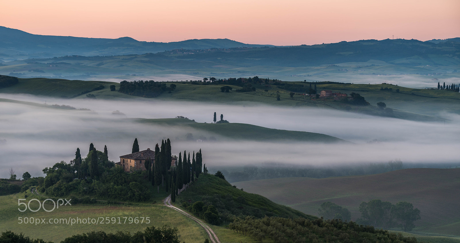 Nikon D810 sample photo. Belvedere photography