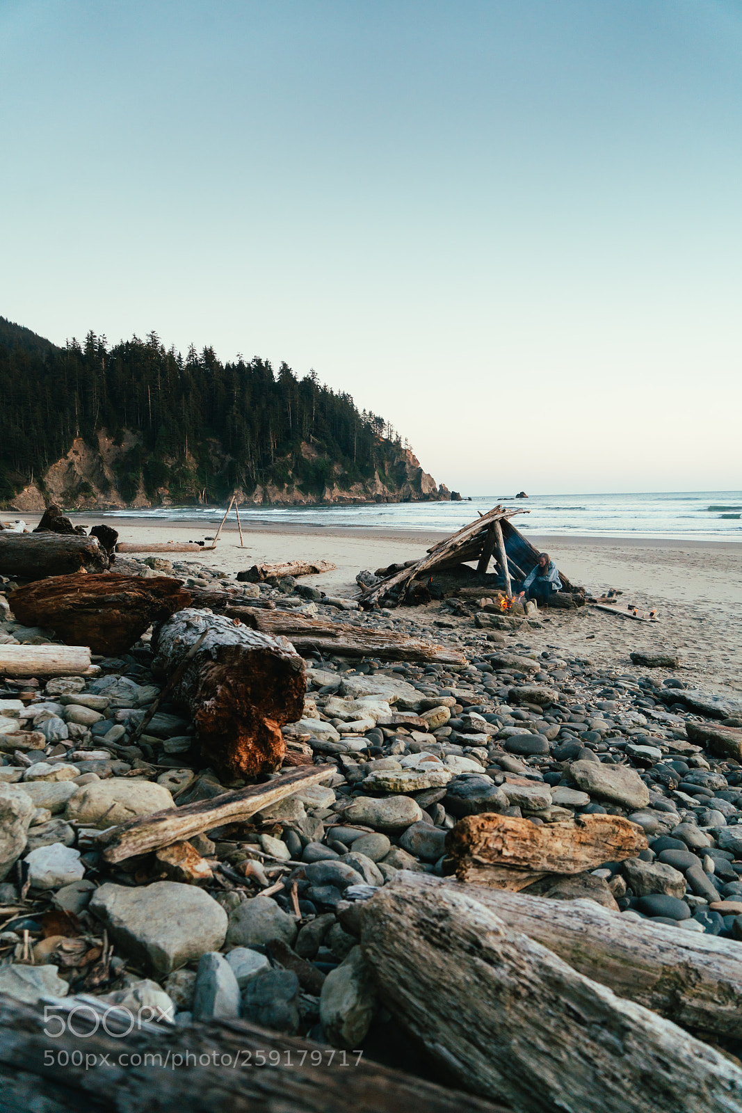 Sony a7R II sample photo. Life in the cove photography