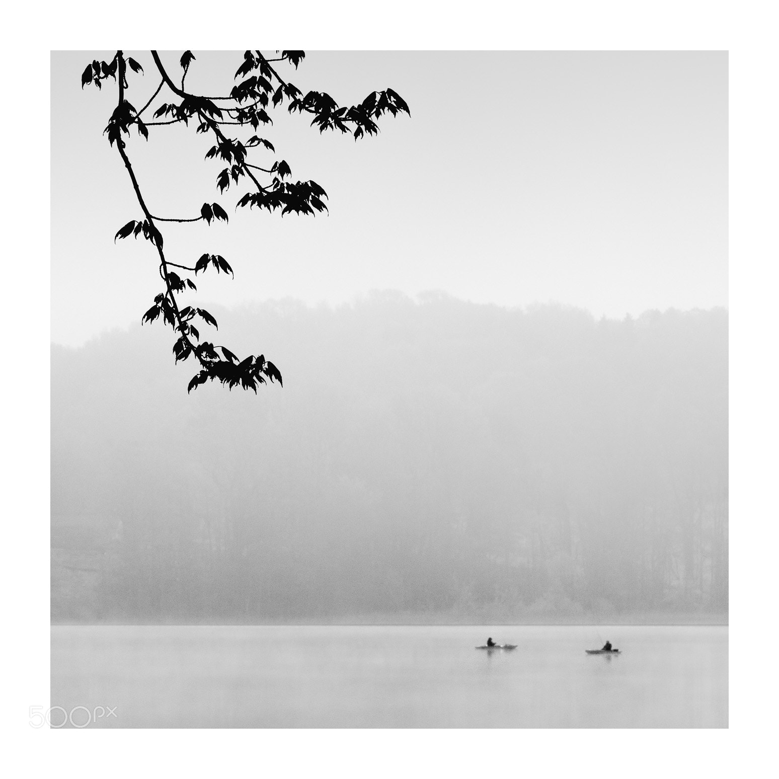 Canon EOS 700D (EOS Rebel T5i / EOS Kiss X7i) sample photo. A foggy morning photography