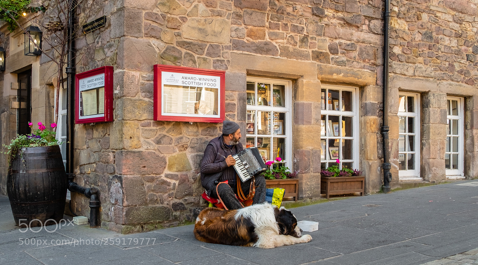 Fujifilm X-E1 sample photo. Man and dog photography