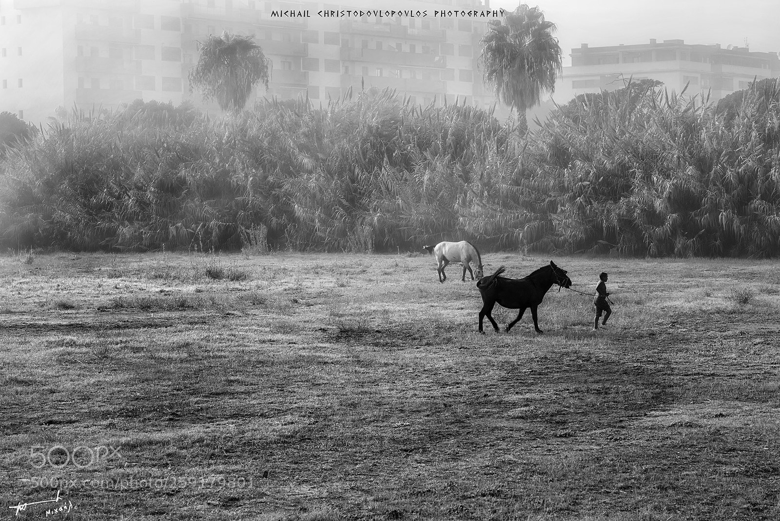 Nikon D810 sample photo. Torre del mar photography