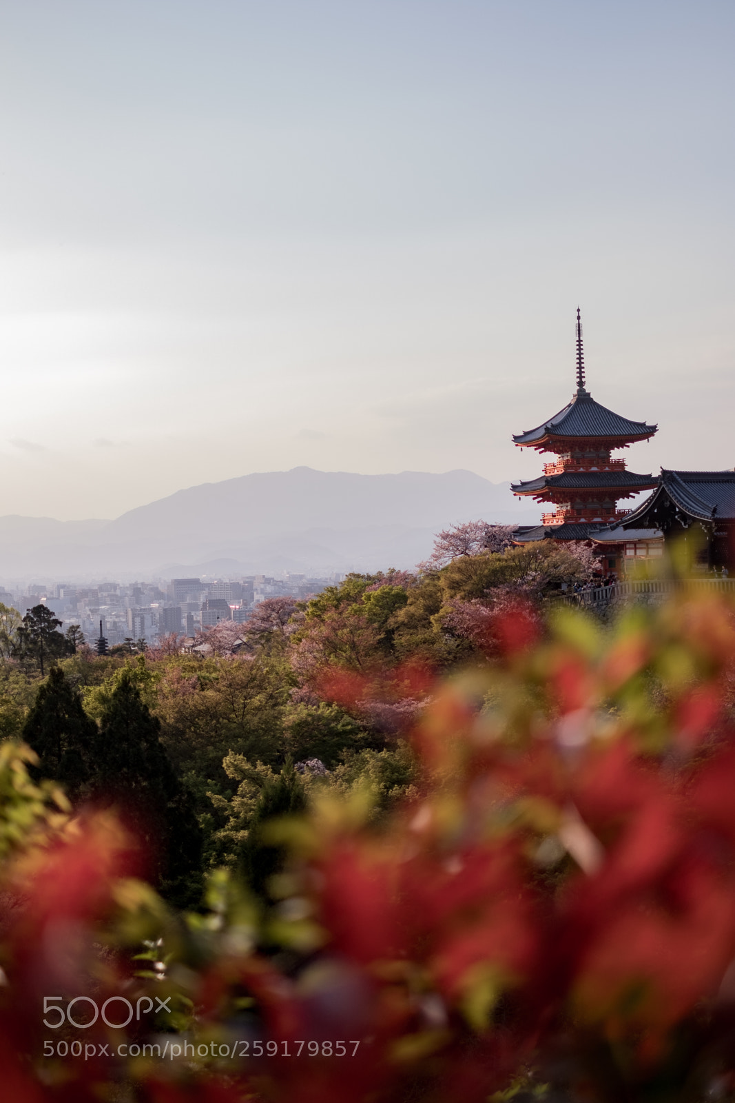 Fujifilm X-H1 sample photo. Kyo mizu photography