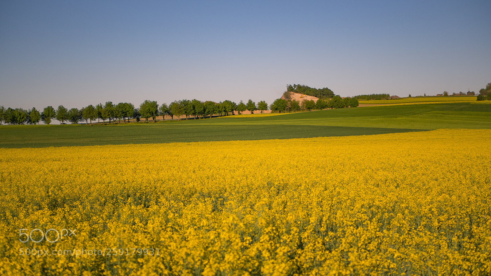 Olympus OM-D E-M10 II sample photo. Countryside photography