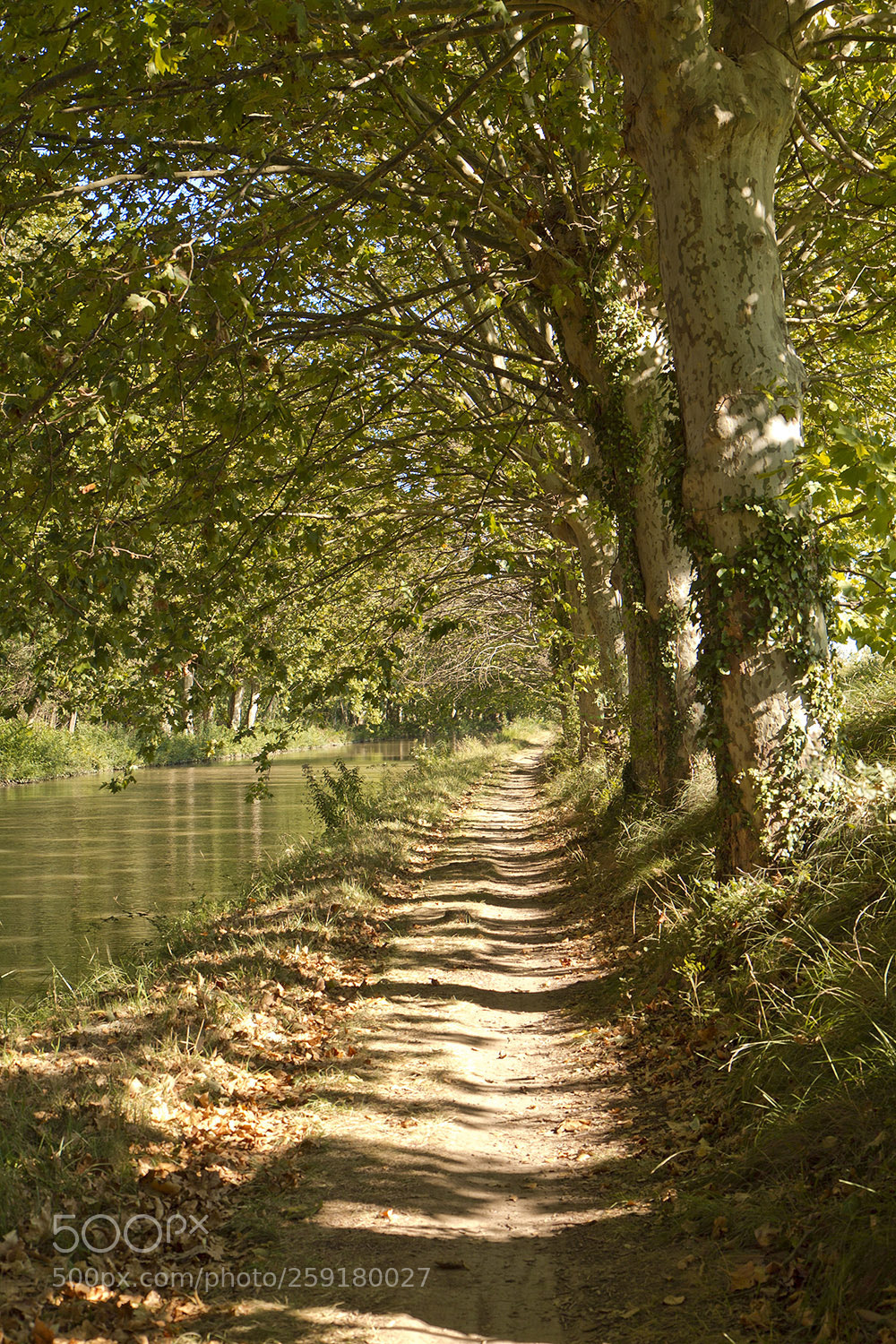 Canon EOS 7D sample photo. Canal du midi photography