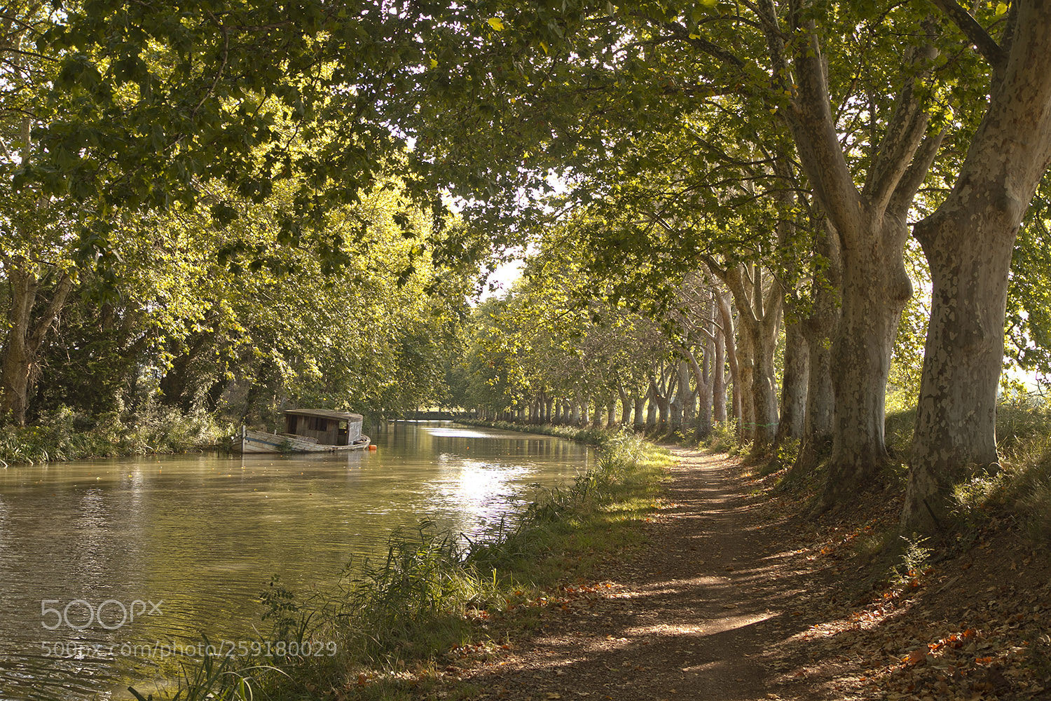 Canon EOS 7D sample photo. Canal du midi photography