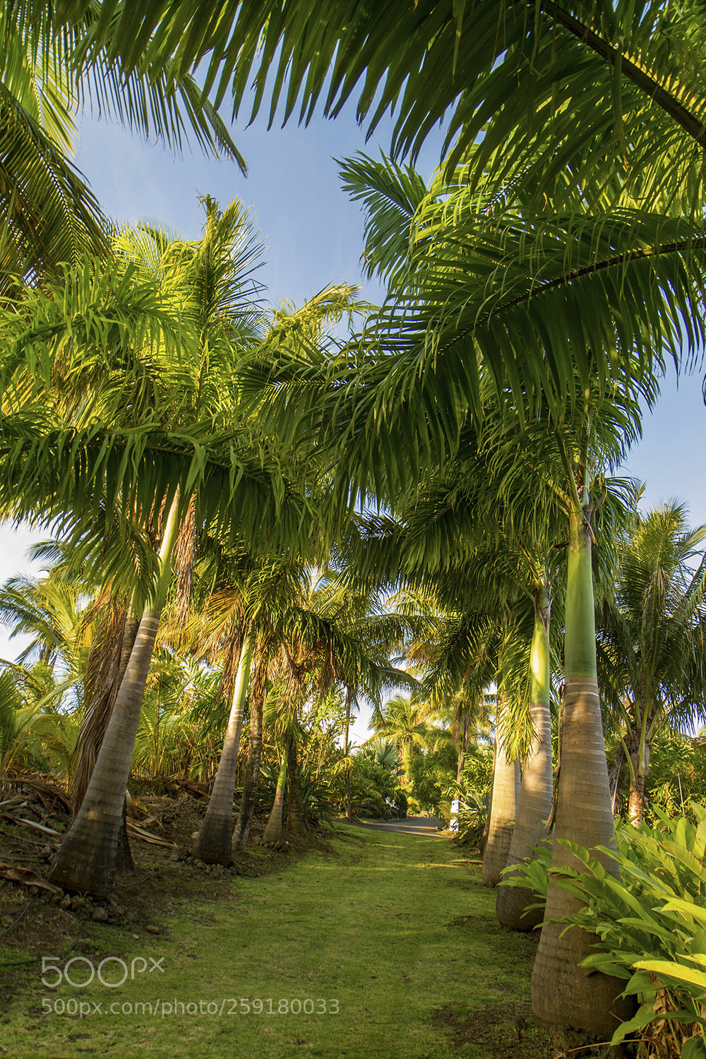 Canon EOS 7D sample photo. Domaines des milles cocos photography
