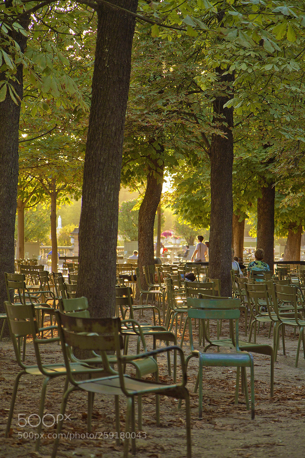 Canon EOS 7D sample photo. Jardin du luxembourg photography