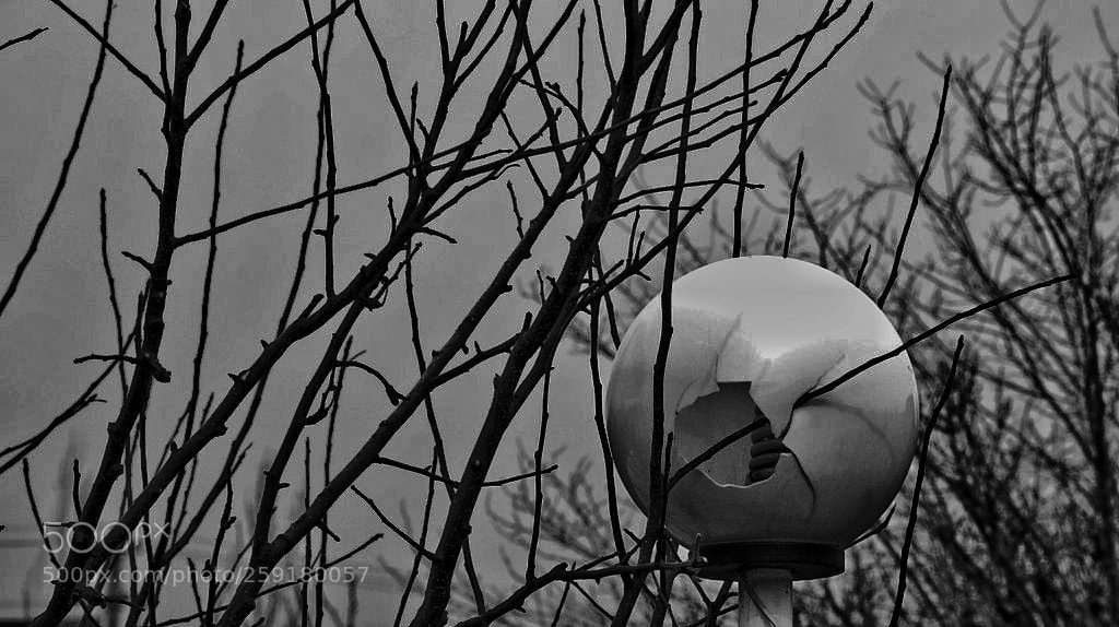 Canon EOS 760D (EOS Rebel T6s / EOS 8000D) sample photo. Untitled photography