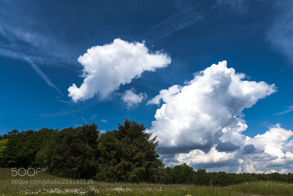 Nikon D500 sample photo. Clean clauds photography