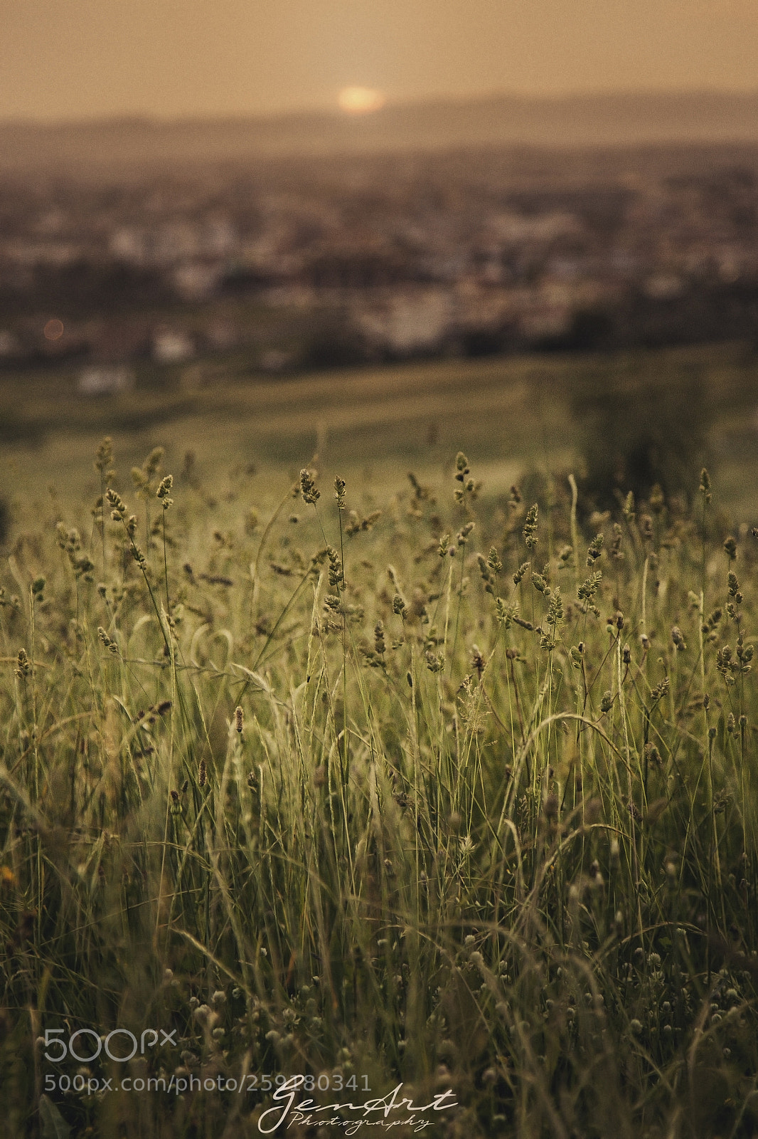 Canon EOS 5D Mark II sample photo. Spring in tirana, albania photography