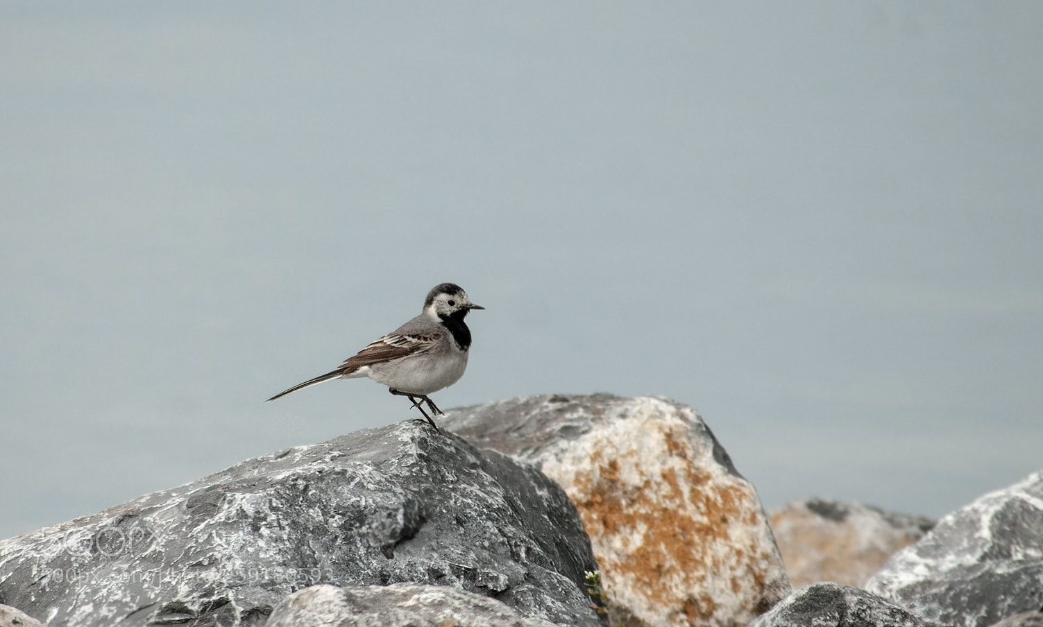 Canon EOS 50D sample photo. River deep - mountain photography