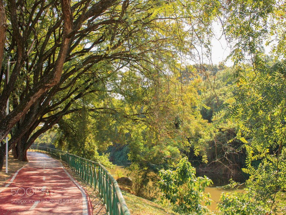 Canon EOS 750D (EOS Rebel T6i / EOS Kiss X8i) sample photo. Bench river tree photography