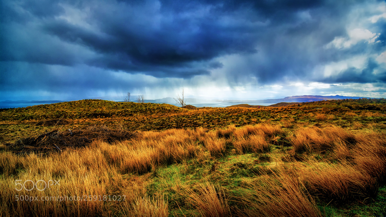 Nikon D7100 sample photo. Rain over isle of photography