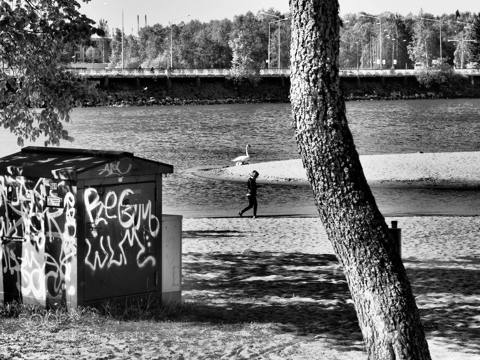 Olympus PEN-F sample photo. Beach walk photography