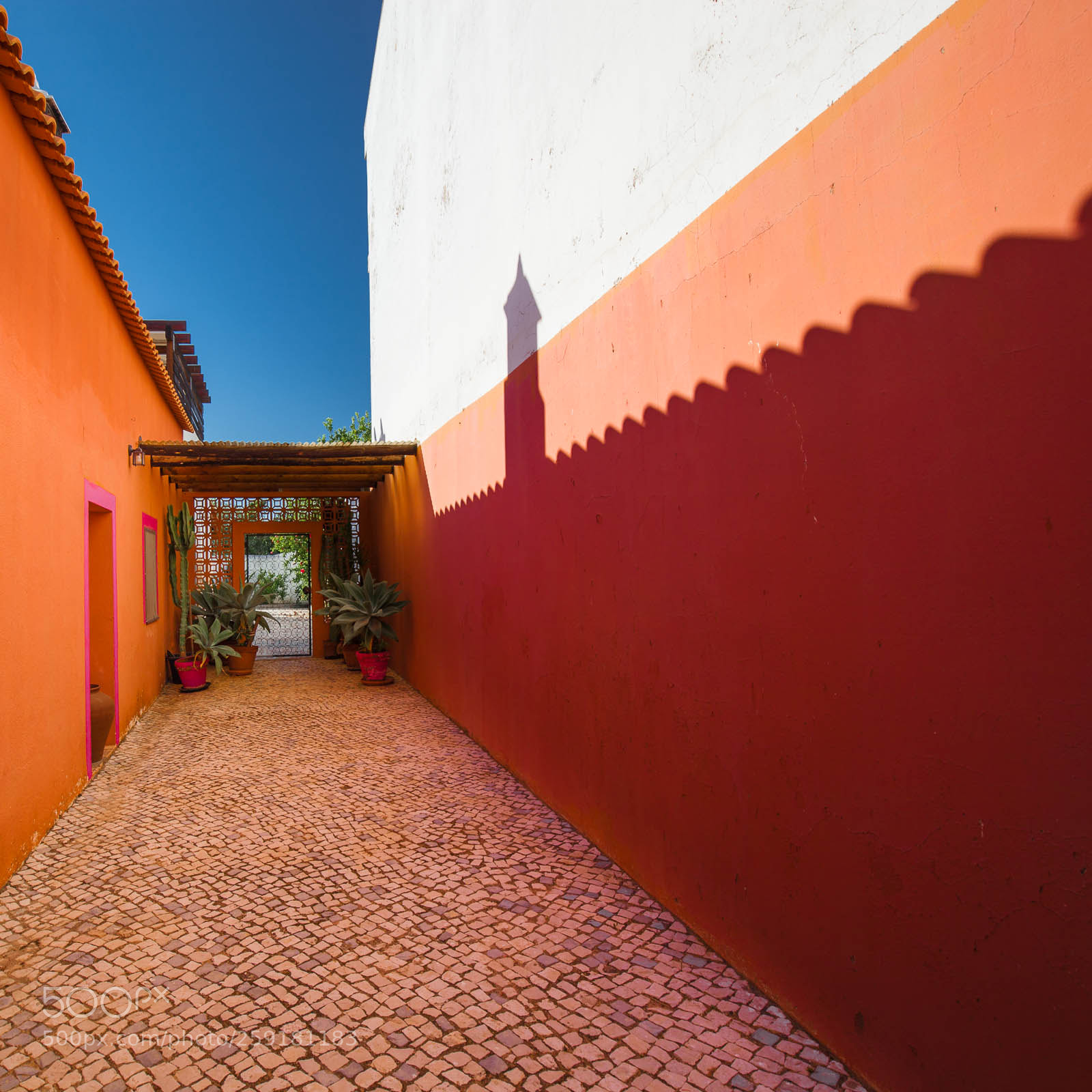 Canon EOS 5D Mark II sample photo. Shadow on the wall photography