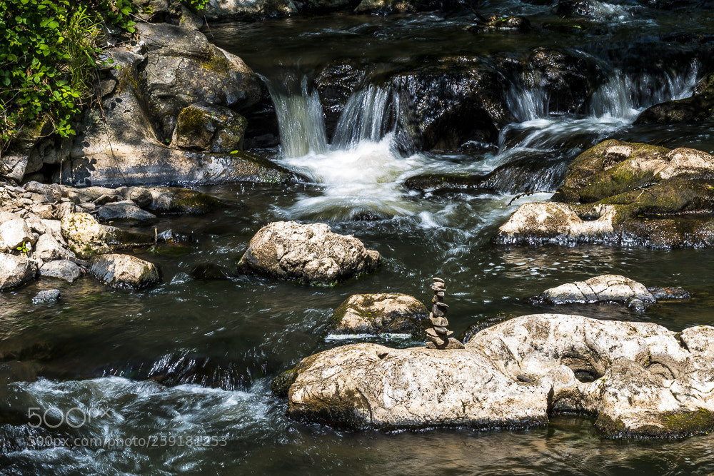 Nikon D500 sample photo. Waterstones photography