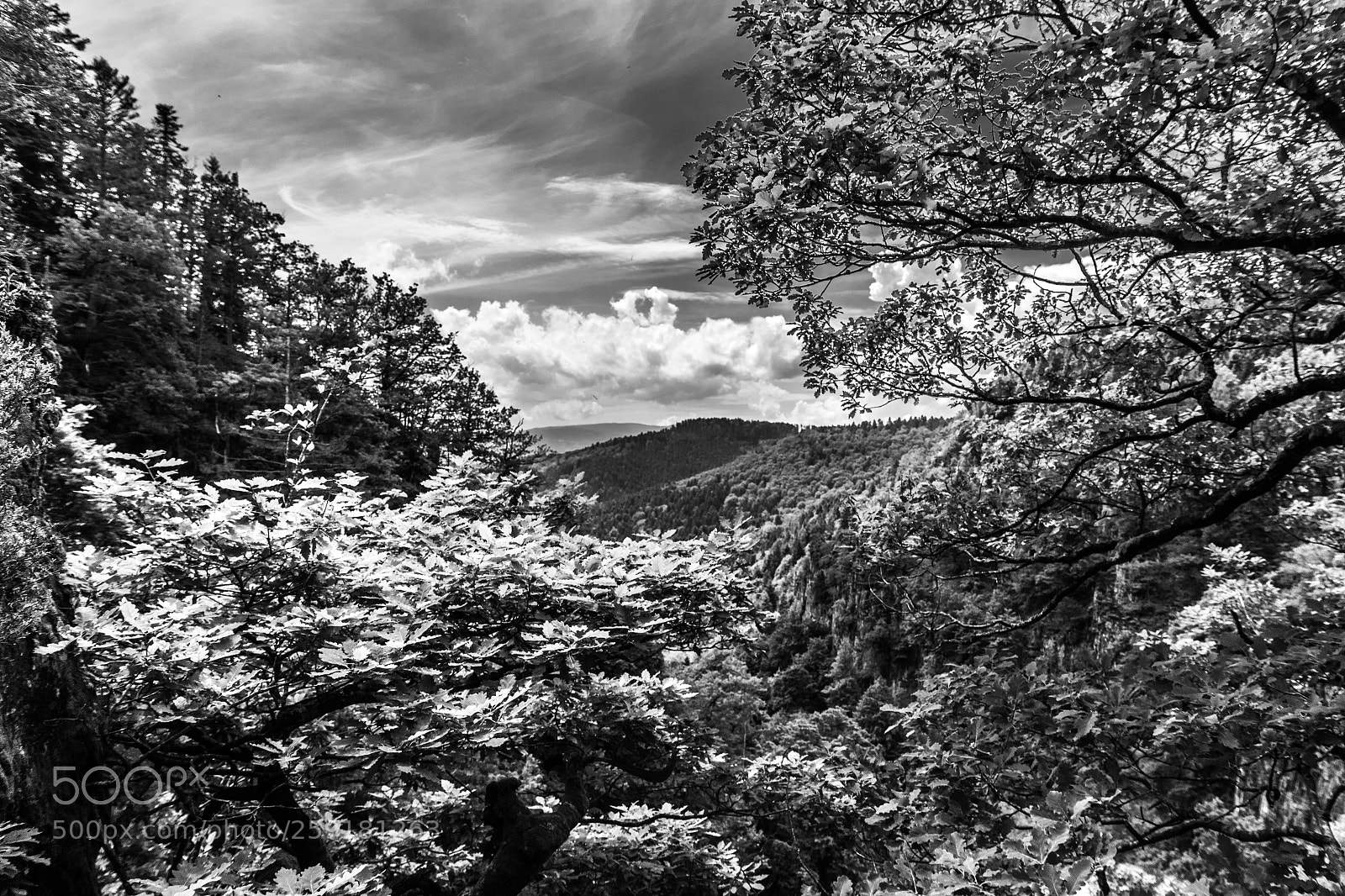 Canon EOS 7D Mark II sample photo. Vosges, a scenic landscape photography