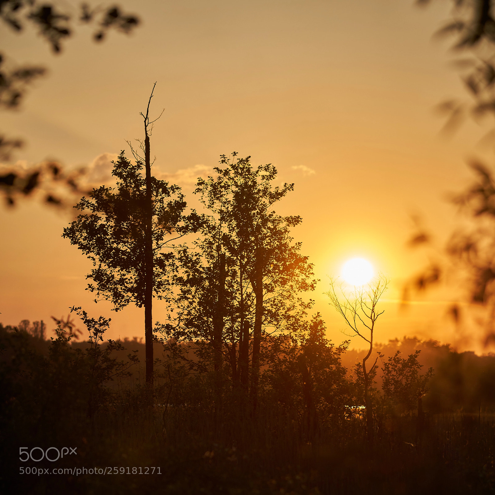 Sony a99 II sample photo. закат photography